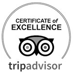 This image shows the TripAdvisor Certificate of Excellence logo, featuring an owl graphic with the text "Certificate of Excellence" above it. logo on footer section.
