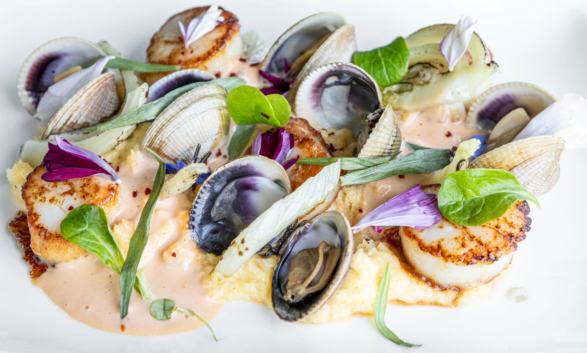 The image shows a dish with seared scallops, clams, creamy sauce, and garnished with edible flowers and greens on a white plate.