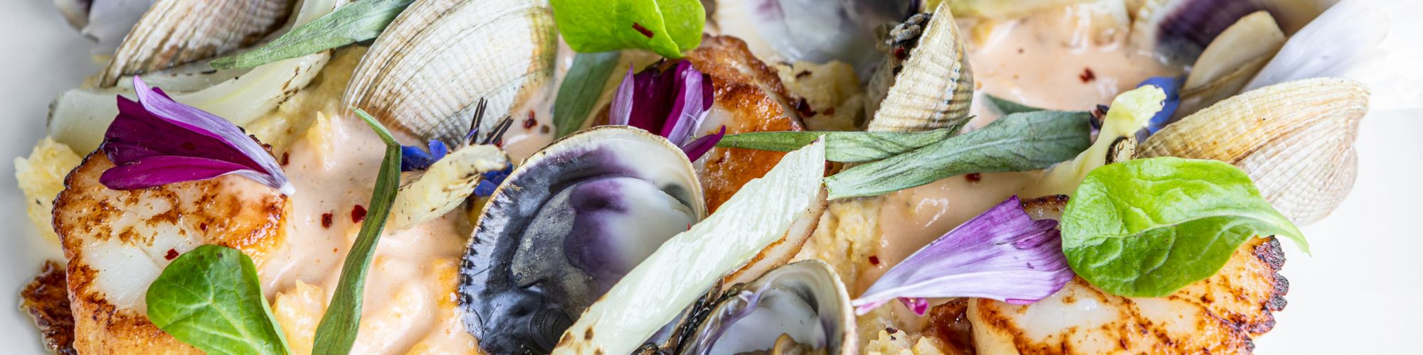 The image shows a dish with seared scallops, clams, creamy sauce, and garnished with edible flowers and greens on a white plate.