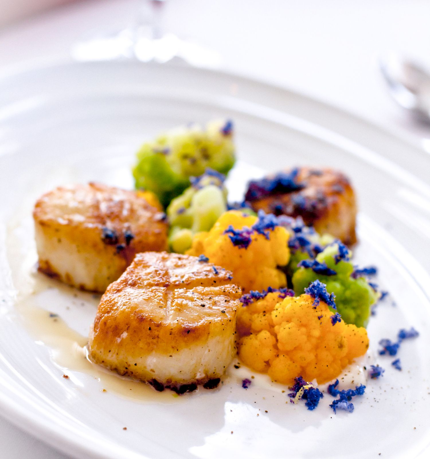 The image shows a white plate with three cooked scallops, colorful vegetables, and garnished with what appears to be edible flowers or herbs, on a table.